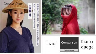 'liziqi and Dianxixiaoge, Chinese food vlogger, what do they have in common and difference?'