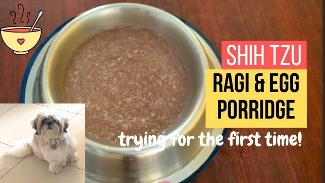 'Ragi-Egg Porridge | Quick & Healthy Meal | Shih Tzu'