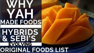 'WHY YAH MADE FOODS - HYBRIDS & DR  SEBI\'S EVOLVING FOOD LIST'