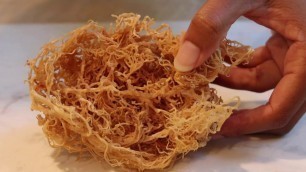 'Dr Sebi Series: The TOP 10 Healing Benefits of Wild Harvested Sea Moss'