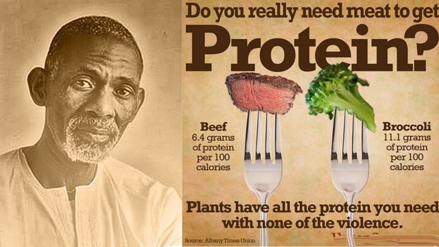 'Dr. Sebi - The Protein Food Myth (Clip)'