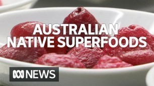 'Packed full of antioxidants, Australian Native foods are going global | ABC News'
