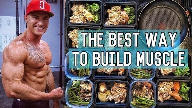 'The Perfect Muscle Building Diet | 3400 Calorie Lean Bulk Meal Plan'