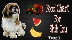 'Shih Tzu\'s Food Recommendations || Tamil @Pournami Sreejith'
