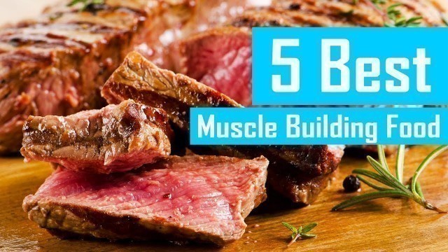 '5 Best Muscle Building Food'