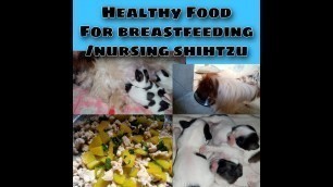 'Breastfeeding/Nursing Shihtzu,,healthy food home recipes,, pampagatas at pampalakas'