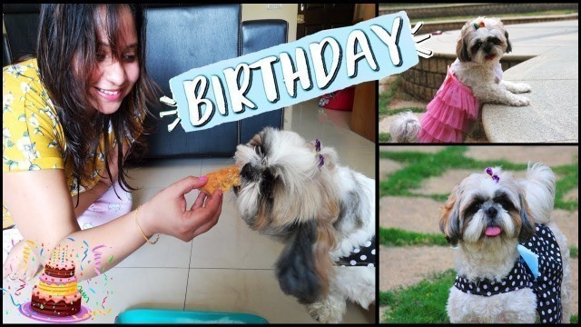'Flurry\'s Birthday Celebration Vlog 