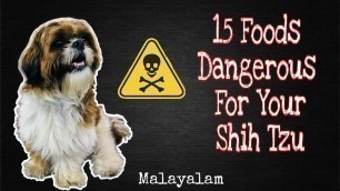 '❌ Foods That Will Kill Your Dog ❌ || Shih Tzu || Malayalam @Pournami Sreejith'