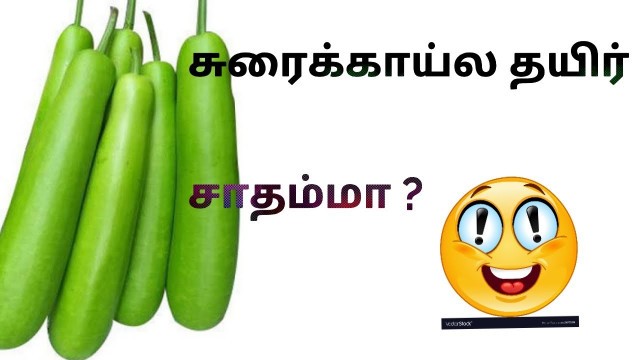 'Bottle gourd / suraikai curd rice in tamil//Weight loss diet in Tamil / recipes in Tami'