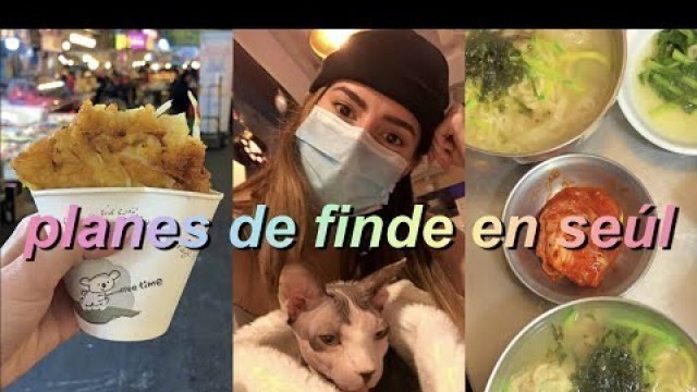 'STREET FOOD DE NETFLIX y UN CAFÉ DE GATOS | vlog korea'