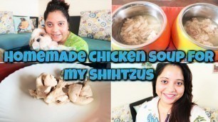 'CHICKEN SOUP FOR DOGS DIY | How To Make Chicken Soup For Dogs | Homemade Recipes For Dog'