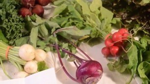 'Fresh Organic Food, Common Thread Farm Madison NY'