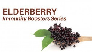 'Elderberry - Immunity Booster Series Elderberry Benefits (Dr. Sebi Alkaline Diet)'