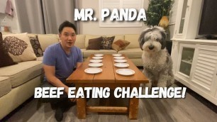'Man vs Dog Food Challenge - Yummy & Fun Beef Eating Competition! #ASMR #Mukbang #Contest'