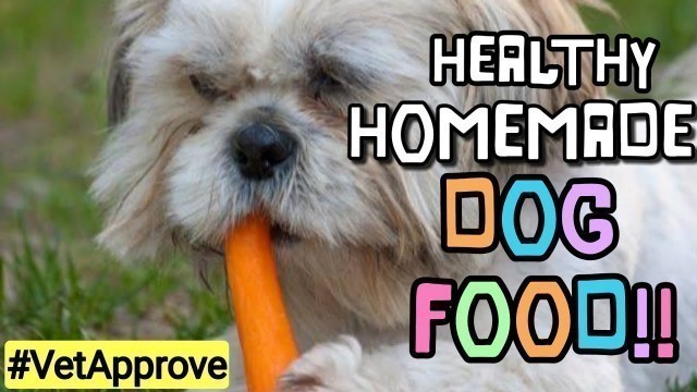 'How to prepare healthy meals for Shih tzu? | homemade dog food'