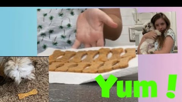 'Homemade Dog Treats For Shih Tzu’s / Small Dogs // Summer Series Wk 11 D 73'