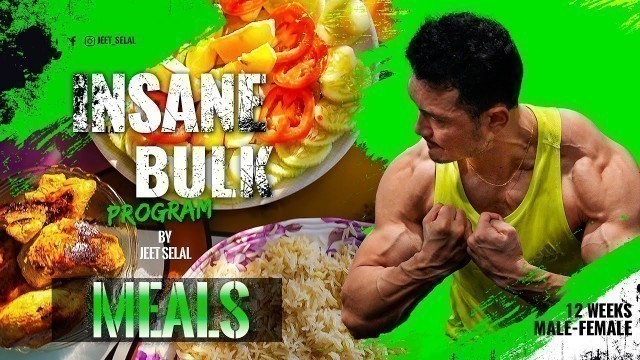 'INSANE BULK \"FULL Day of EATING\"- 12 weeks Muscle Building Program [FREE] Designed By Jeet Selal'