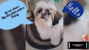 'What Goofy eats | Shih tzu Indian Diet | Fur Baby Indian Food'