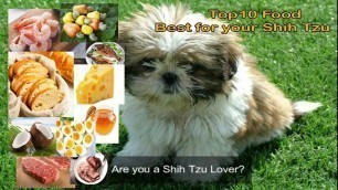 'Top 10 Food | Best for your Shih Tzu Dogs | TLT Tips'
