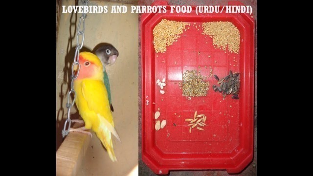 'Lovebird and Parrot Food (Urdu/Hindi)'