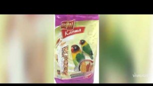 'African love bird food'