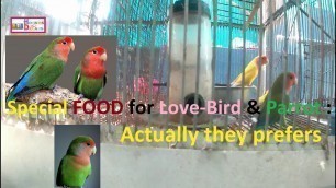 'Special Food for Love Bird & Parrot  : Actually they prefers'