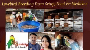 'RS Aviary Lovebird Breeding Farm Setup, Food & Medicine || Lovebird Cage Size & Breeding Box Size'