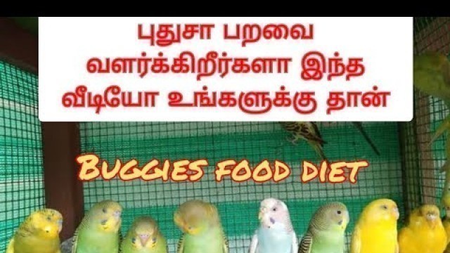 'Heartless Pet world// Part-12 buggies food diet #animals #lovebird #birds #facebook #instagram'