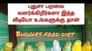 'Heartless Pet world// Part-12 buggies food diet #animals #lovebird #birds #facebook #instagram'