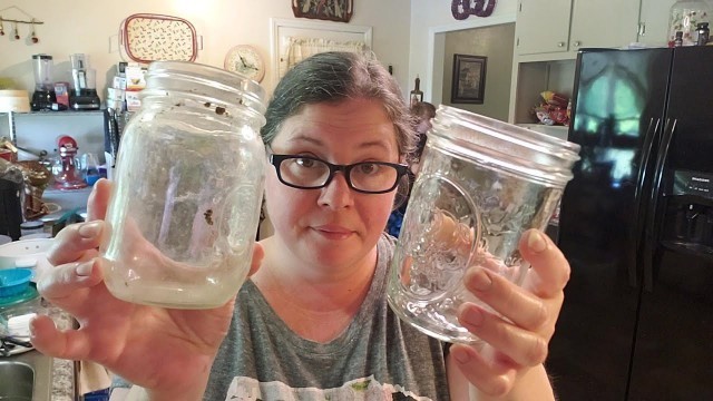'How to clean old dirty mason jars -easy method 100% clean'