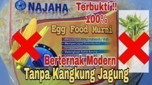 'PAKAN AMPUH TERNAK LOVEBIRD PENGGANTI JAGUNG & KANGKUNG || Review Egg Food Murni Najaha Birdshop'
