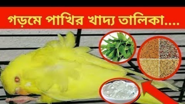 'গড়মে পাখির খাদ্য তালিকা ll Birds food in summer ll buzrigar, lovebird, kokatel,bfinch, java ll'