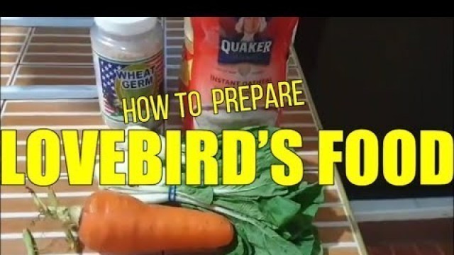 'How to prepare Lovebird’s food in the morning | PidamTV'