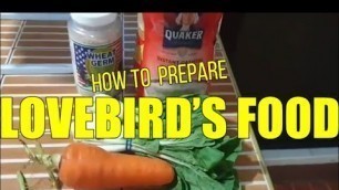 'How to prepare Lovebird’s food in the morning | PidamTV'