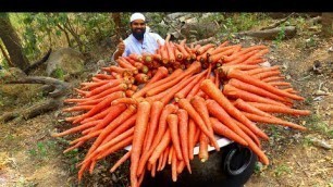'Gajar Ka Halwa Recipe || Tasty Carrot Halwa Recipe || Big Carrot Halwa || Nawab\'s Kitchen'