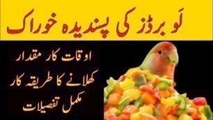 'Love bird food | best food for love birds | mix seed for love birds English subtitles'