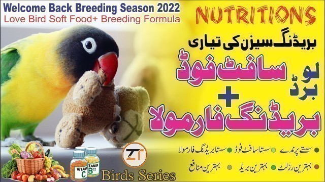 'Special Soft Food For Love Birds In Breeding Season 2022|Love Bird Breeding Formula|Birds Diet Plan'