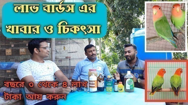 'Love Birds Food Medicine And Care || লাভ বার্ডস প্রতিপালনের সম্পূর্ণ তথ্য পান একটি মাত্র ভিডিওতে ||'