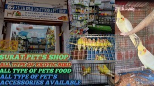 'Surat pet\'s shop | Saleh bhai got food & pets | Africa love bird | cocktail Adult pair | budgie Bird'