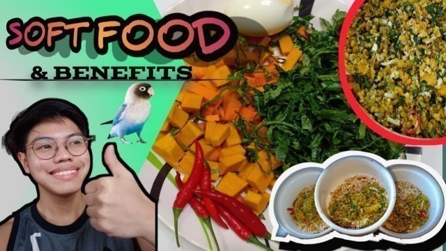'HOW TO MAKE SOFT FOOD FOR AFRICAN LOVEBIRDS /BENEFITS  OF SOFT FOOD DIET FOR BIRDS/ EGG FOOD-VLOG 19'