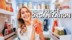 'Fridge Declutter: Sustainable & Satisfying Reorganization | Organize With Me | Lucie Fink'