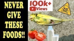 'HARMFUL FOODS For BIRDS | Never Feed These To Your Birds | Birds ko Ye Sab Na Khilay | Happy Budgies'