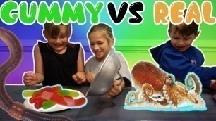 'GUMMY FOOD VS REAL FOOD CHALLENGE - OCTOPUS & WORMS'