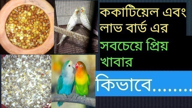 'Cockatiel & Love Bird The Most Favorite Food'
