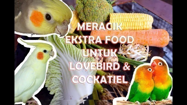 'MERACIK EKSTRA FOOD BERGIZI UNTUK LOVEBIRD & COCKATIEL'