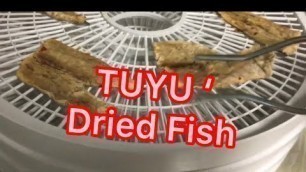 'How to make a dried fish ( Tuyo) Using Dehydrator | Best Filipino Recipe | Inday Palautog vlogs'