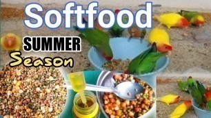 'Mix Softfood Of Budgies/Love Birds/Cockatiel For Summer Season/ Garmiyo Ka Bheega Dana'