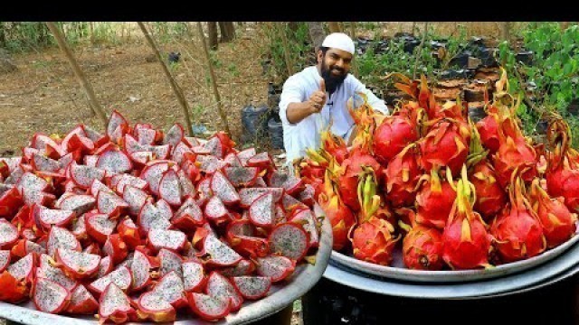 'Dragon Fruit Halwa Recipe || Very Easy and Tasty Dragon Halwa Recipe || Nawabs Kitchen'