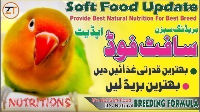 'Best Natural Soft Food For Love Birds In Breeding Season|LoveBird Nutrition|Natural Breeding Formula'