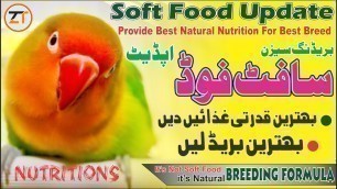 'Best Natural Soft Food For Love Birds In Breeding Season|LoveBird Nutrition|Natural Breeding Formula'